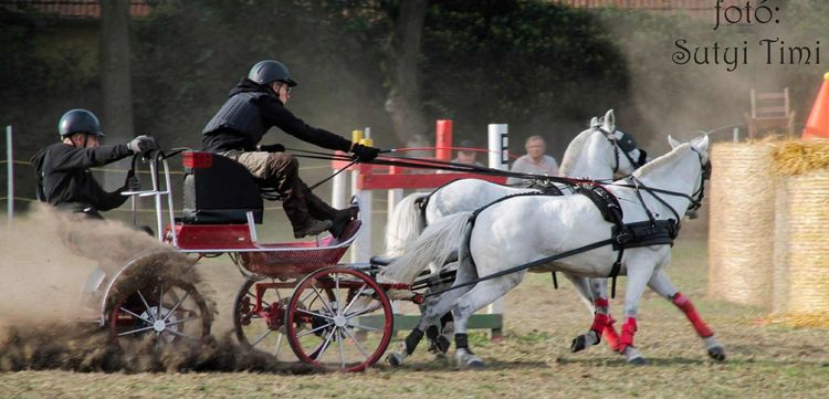 Kiemelkedő sporteredmény