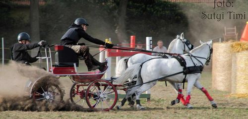 Kiemelkedő sporteredmény
